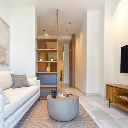 Genteel San Vicente Apartment