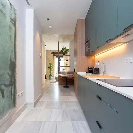 Genteel San Vicente Apartment *